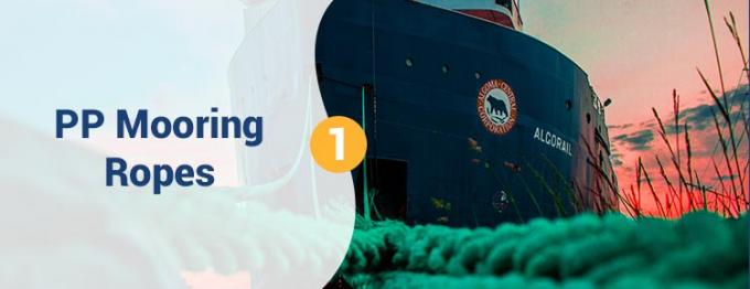 Sprzęt do ciągnięcia 0