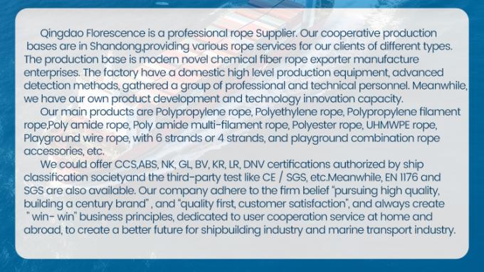 Wysokiej wytrzymałości 3 pręty Skręcone 4mm-60mm Nylon Fiber Sailing Rope Polyamide Rope Nylon Marine Mooring Rope 4