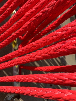 Wysokiej wytrzymałości 12 prętów Włóczone Uhmwpe Łódź Wiązka mocowania Winch Wiązka holowania