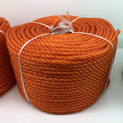 Wiązka z polietylenu (PE) o trzech nitkach - dostępna w różnych kolorach